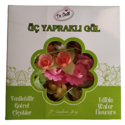 Dr. Grande rose gaufrée Gusto (25 roses 75 pétales)